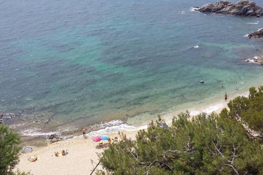 Apartamento Al Lado De La Playa Con Parking Y Jardin 플라티야 다로 외부 사진